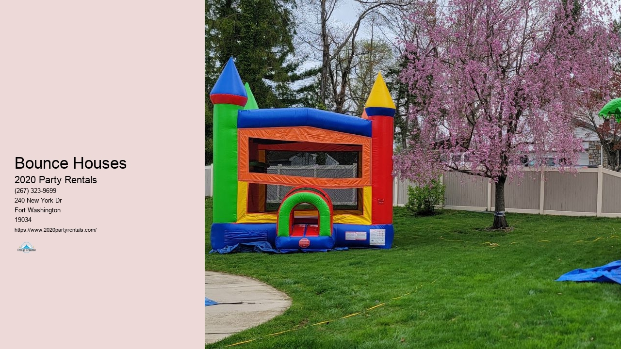 2020 Party Rentals Bounce House Party Rentals